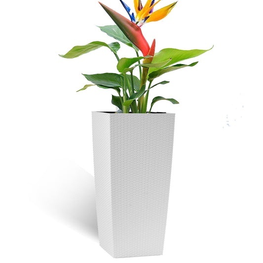 Large Self Watering Flower Pot With Drainage Holes & Inner Tray