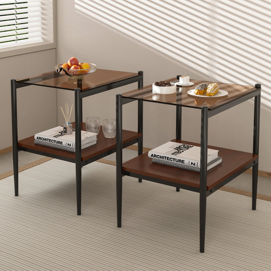 Modern Rectangle End Table (Set of 2) With Tempered Glass Tabletop And Layer - Brown