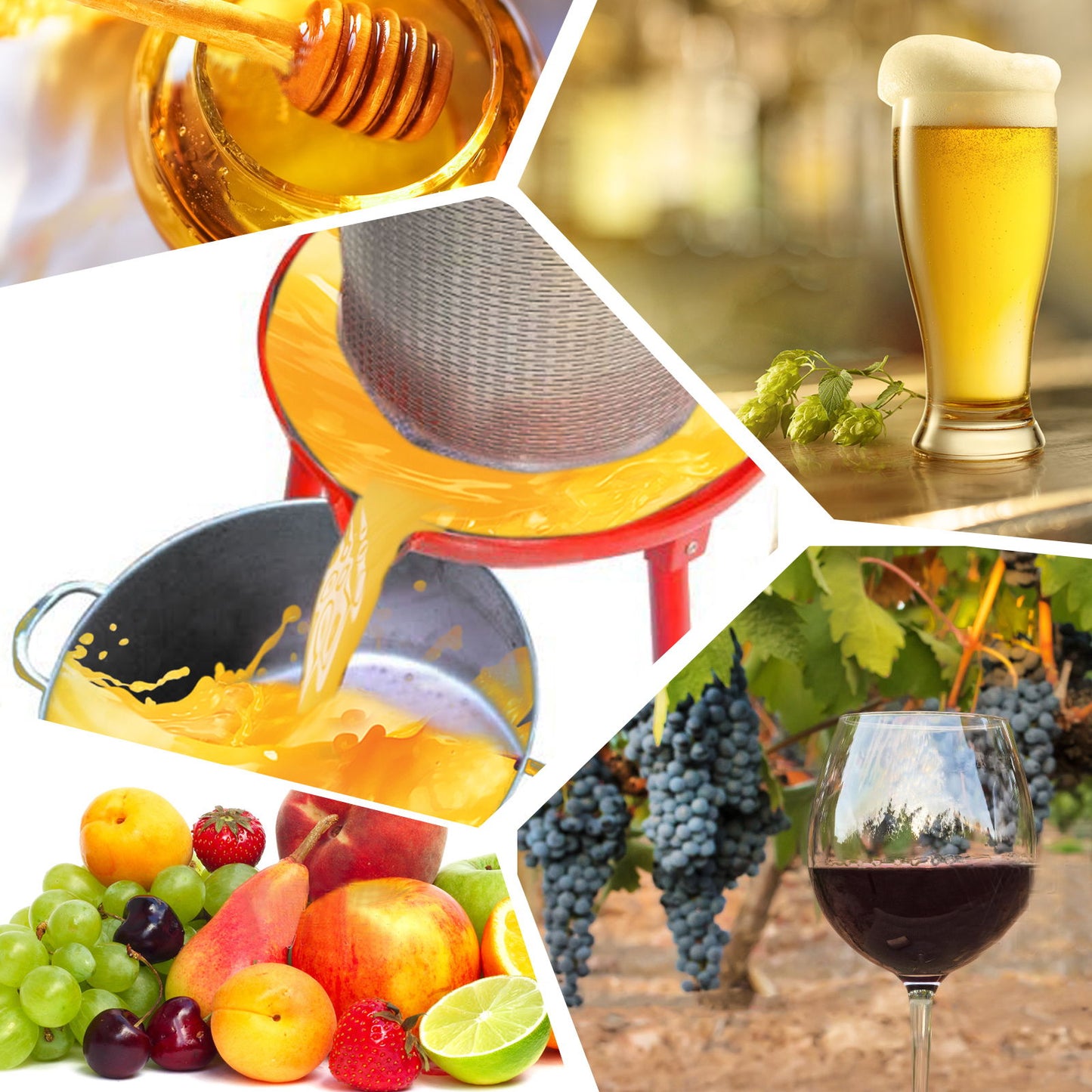 Hydraulic Fruit Wine Press With Apple Crusher, Water-Powered Cider Wine Press - Green