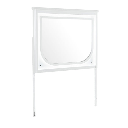 Brenda - Mirror With LED Lighting And Accent Detailing - Gray