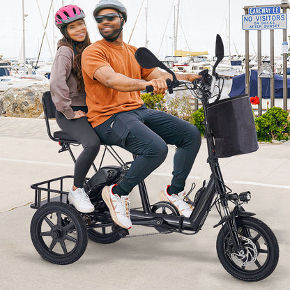 Folding Electric Trike With 350W Peak Motor, 480Wh Removable Battery, 2 Seat Design