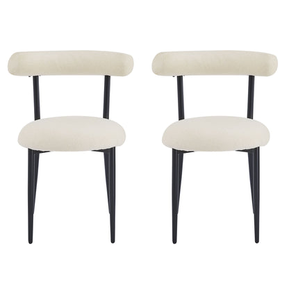 Modern Dining Room Chairs (Set of 2)