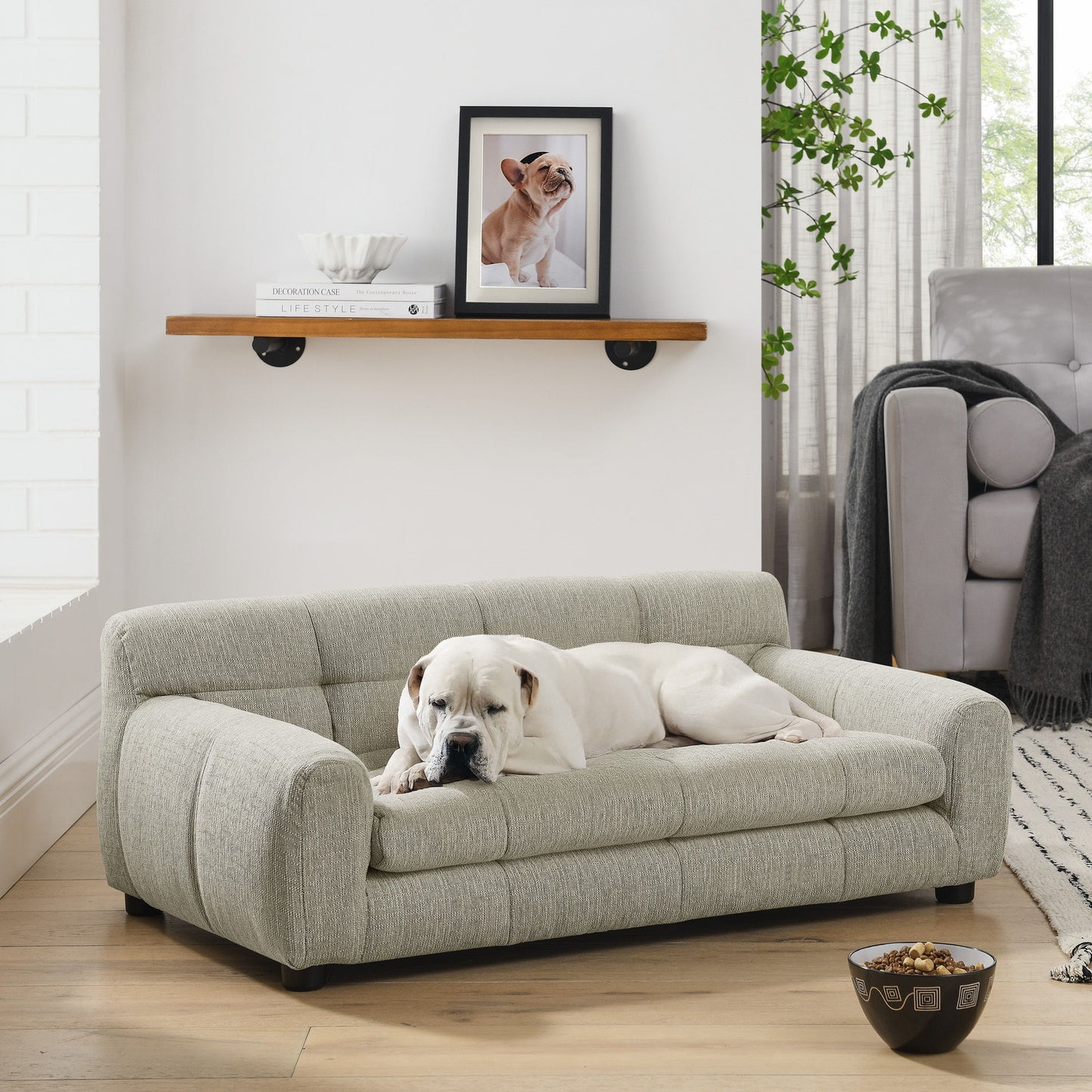 Modern Pet Sofa With Backrest And Armrests