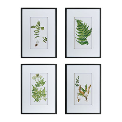 Botanical And Fern Wall Art, Wall Decor For Living Room Dining Room Entryway (Set of 4) - White / Black