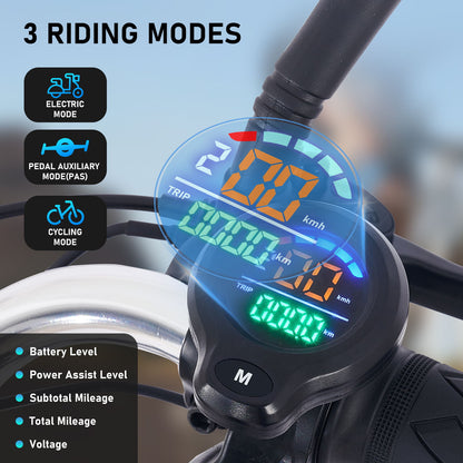 Folding Electric Trike With 350W Peak Motor, 480Wh Removable Battery, 2 Seat Design