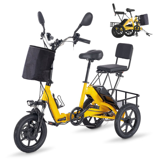 Folding Electric Trike With 350W Peak Motor, 480Wh Removable Battery, 2 Seat Design