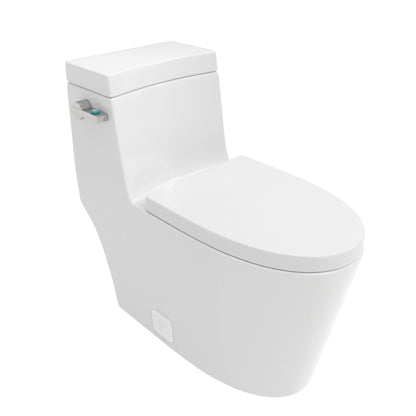 1 Piece Toilet And Soft Closing Seat - White